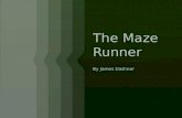The Maze  Runner