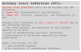 Urinary tract infection (UTI):