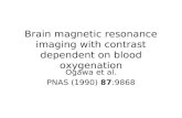 Brain magnetic resonance imaging with contrast dependent on blood oxygenation