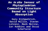 An  in situ  Sensor of Phytoplankton Community Structure Based on Light Absorption