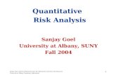 Quantitative   Risk Analysis Sanjay Goel University at Albany, SUNY Fall 2004
