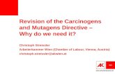Revision of the Carcinogens and Mutagens Directive – Why do we need it?