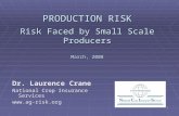 PRODUCTION RISK Risk Faced by Small Scale Producers March, 2008