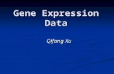 Gene Expression Data