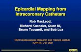 Epicardial Mapping from Intracoronary Catheters
