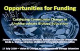Opportunities for Funding