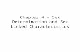 Chapter 4 – Sex Determination and Sex Linked Characteristics