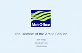 The Demise of the Arctic Sea Ice