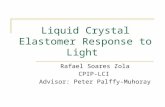 Liquid Crystal Elastomer Response to Light