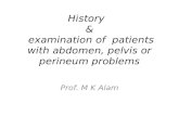 History   &  examination of  patients with abdomen, pelvis or perineum problems