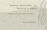 Summer Internship                  Working in Japan - Different Culture/Environment