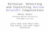 BitValue: Detecting and Exploiting  Narrow Bitwidth  Computations