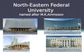 North-Eastern Federal University  named after M.K.Ammosov