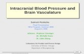 Intracranial Blood Pressure and Brain Vasculature