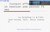Isospin effects  in neutron and proton flows