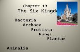 Chapter 19          The Six Kingdoms Bacteria Archaea Protista Fungi Plantae Animalia