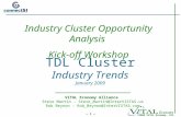 TDL Cluster Industry Trends January 2009