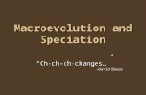 Macroevolution and Speciation