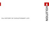the HISTORY OF EVOLUTIONARY LIFE
