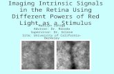 Imaging Intrinsic Signals in the Retina Using Different Powers of Red Light as a Stimulus
