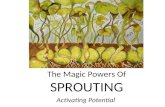 The Magic Powers Of SPROUTING
