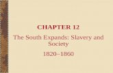 CHAPTER 12 The South Expands: Slavery and Society 1820–1860
