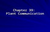 Chapter 39:  Plant Communication
