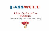 Life Cycle of a Pumpkin  Vocabulary Review Activity
