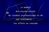 Le modèle Bio-Psycho-Social du trouble psychiatrique et de son traitement :  les effets en cascade