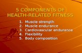 5 COMPONENTS OF HEALTH-RELATED FITNESS