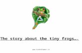 The story about the tiny frogs….