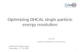 Optimizing DHCAL single particle energy resolution