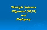 Multiple Sequence Alignment (MSA) and Phylogeny