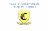 Year 6 Corinthian Primary School