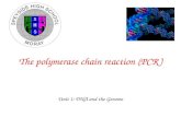 The polymerase chain reaction (PCR)