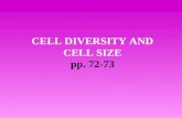 CELL DIVERSITY AND CELL SIZE pp. 72-73