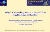 High Counting Rate Transition Radiation Detector