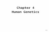Chapter 4 Human Genetics