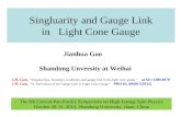 Singluarity and Gauge Link in   Light Cone Gauge