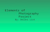 Elements of                Photography Project