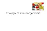 Etiology of microorganisms