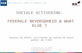 SOCIALE ACTIVERING:  FEDERALE BEVOEGDHEID & WHAT ELSE ?