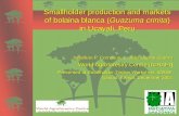 Smallholder production and markets of bolaina blanca ( Guazuma crinita ) in Ucayali, Peru