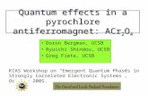 Quantum effects in a pyrochlore antiferromagnet: ACr 2 O 4