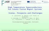 High Temperature Superconductors  for Future Fusion Magnet Systems