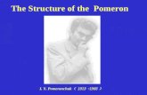 The Structure of the  Pomeron