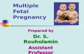 Multiple Fetal Pregnancy