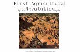 First Agricultural Revolution