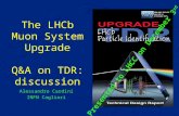 The LHCb Muon System Upgrade Q&A on TDR: discussion