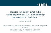 Brain injury and its consequences in extremely premature babies